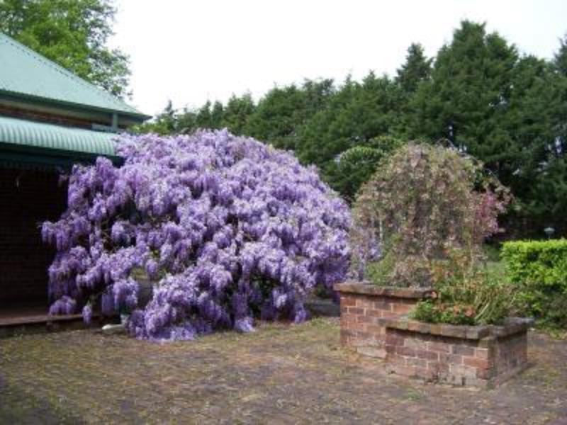 Heronswood House B & Bモス・ベール エクステリア 写真